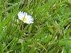 PIC01432.JPG